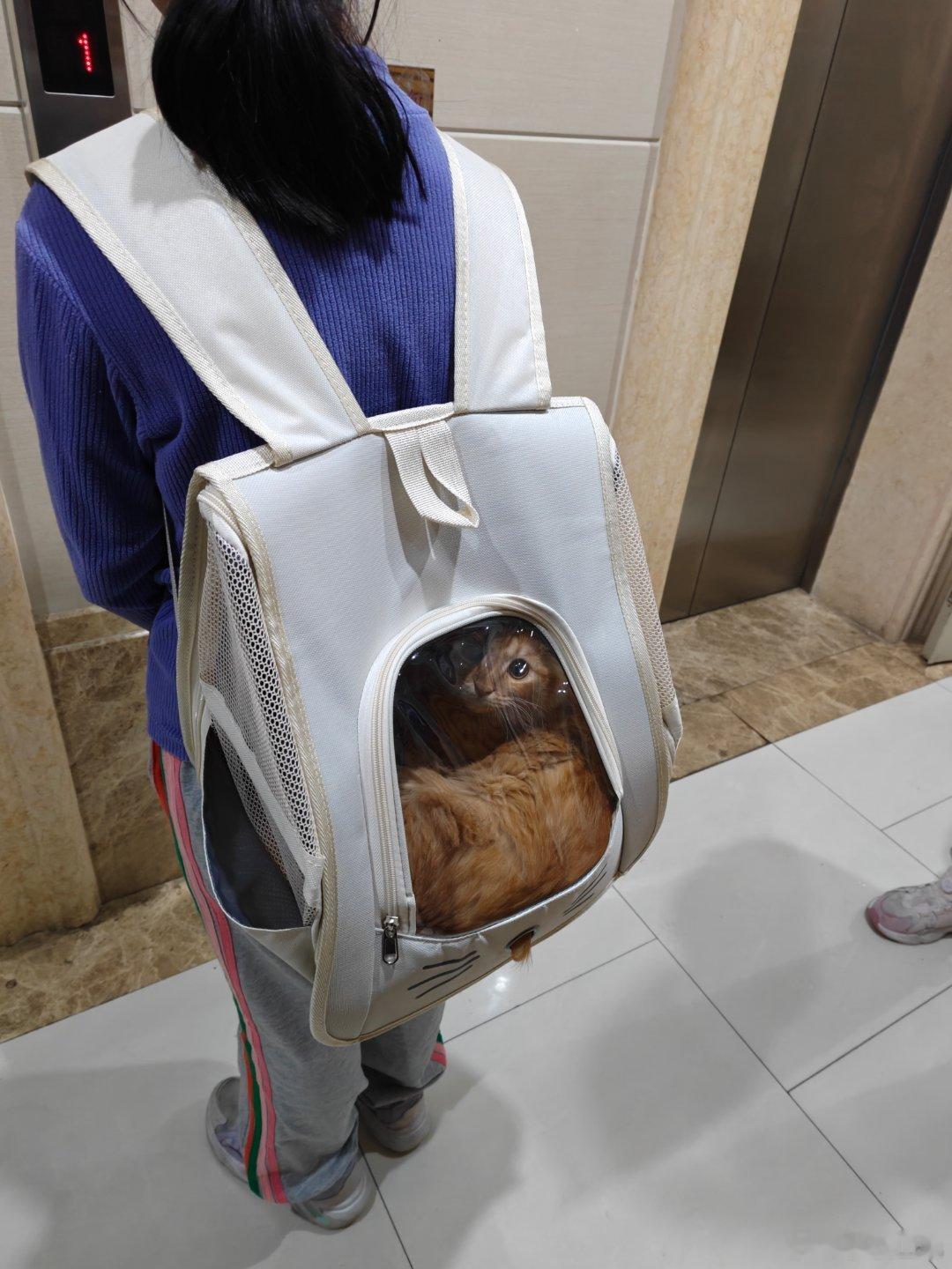 出门，带猫冲凉！