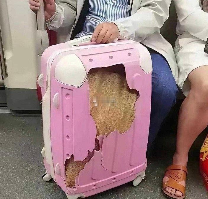 还以为是个破箱子结果是我看错了！