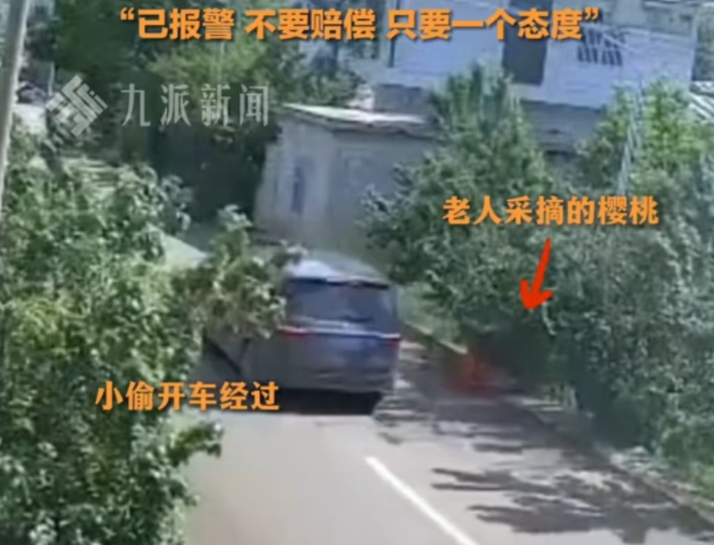 太坏了！贵州一老人摘10斤樱桃放路边卖，不料还不到3分钟，就被一陌生男子，开着车