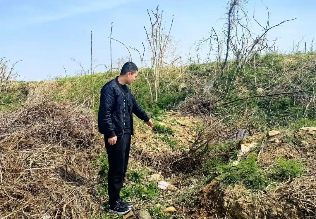 你敢信吗？儿子天天在微信上跟“妈妈”聊天，关心吃喝冷暖，结果那头敲字的根本不是母