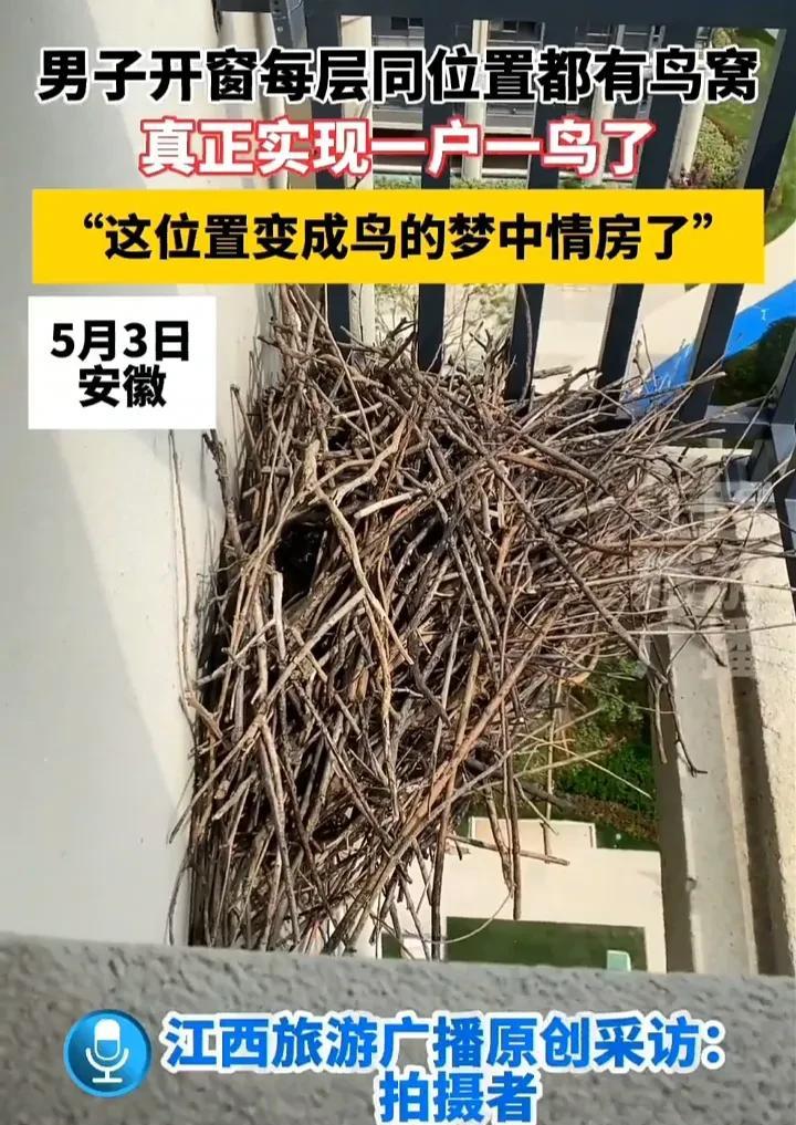 这件事太有趣了！5月3日，安徽一名男子发视频称，自己在家开窗的时候，发现窗户下边