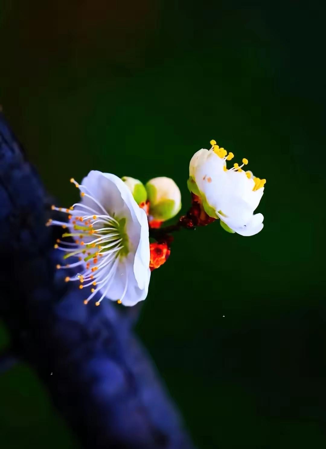 养老新方法：雇佣邻居​网上看到一个70多岁大爷的养老方式：不去