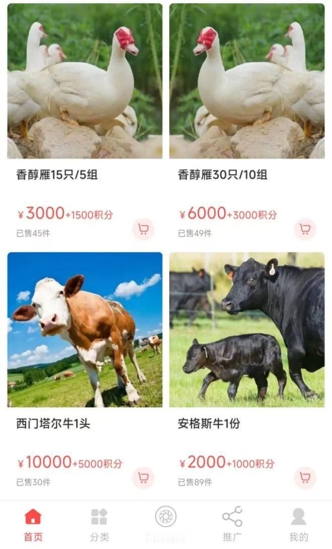子虚乌有！老年人“认养动物”被骗近日，上海警方成功侦破一起以投资“云农场”项目