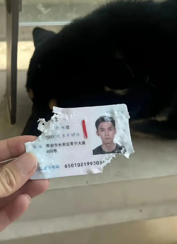 一觉起来天塌了，下午还要出差