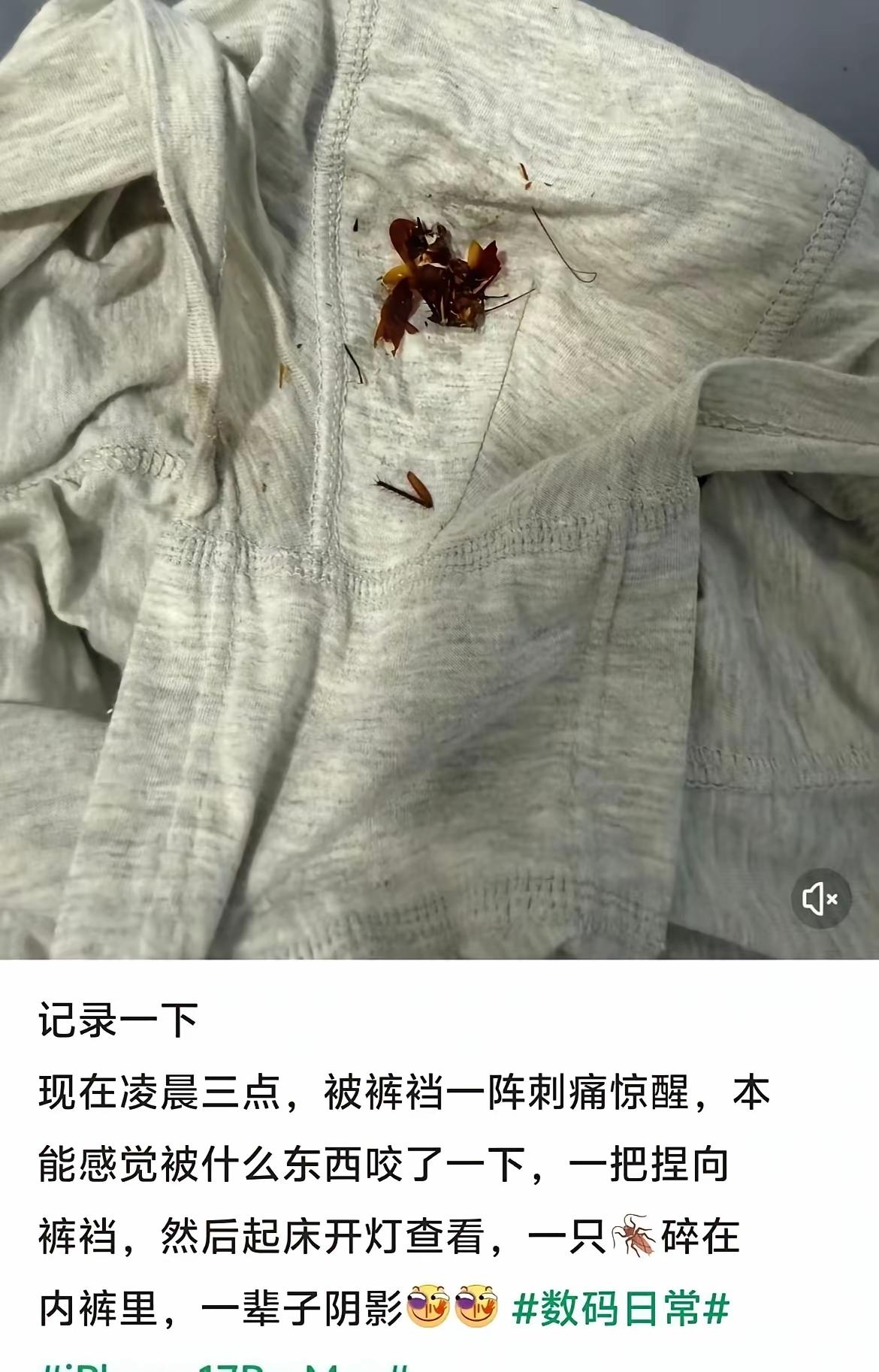好家伙，这确实是阴影[捂脸哭]