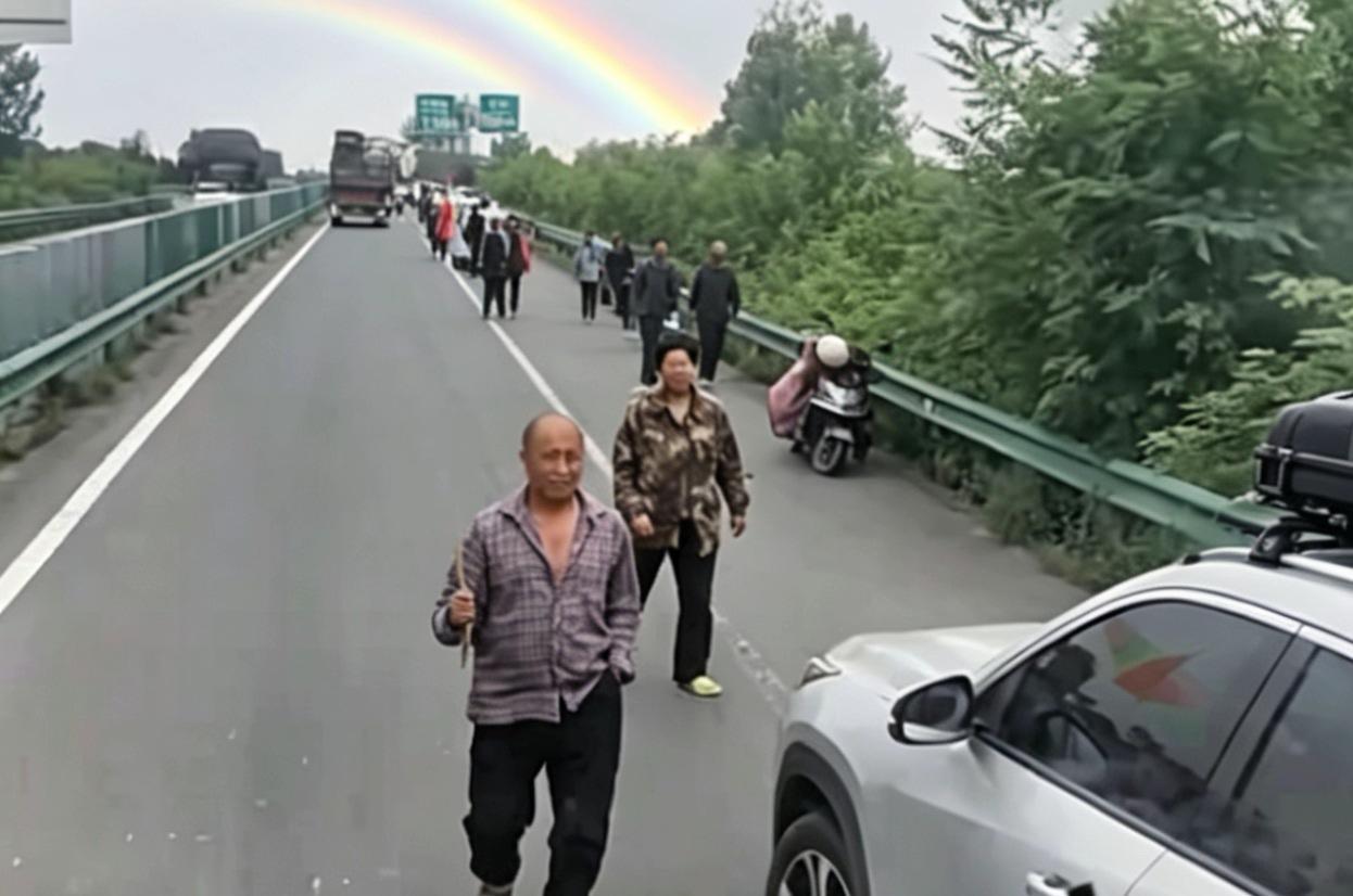 麦收闹的矛盾，究竟谁对谁错啊？眼下襄阳麦收遇上糟心事，接连下雨导致大片小麦倒伏