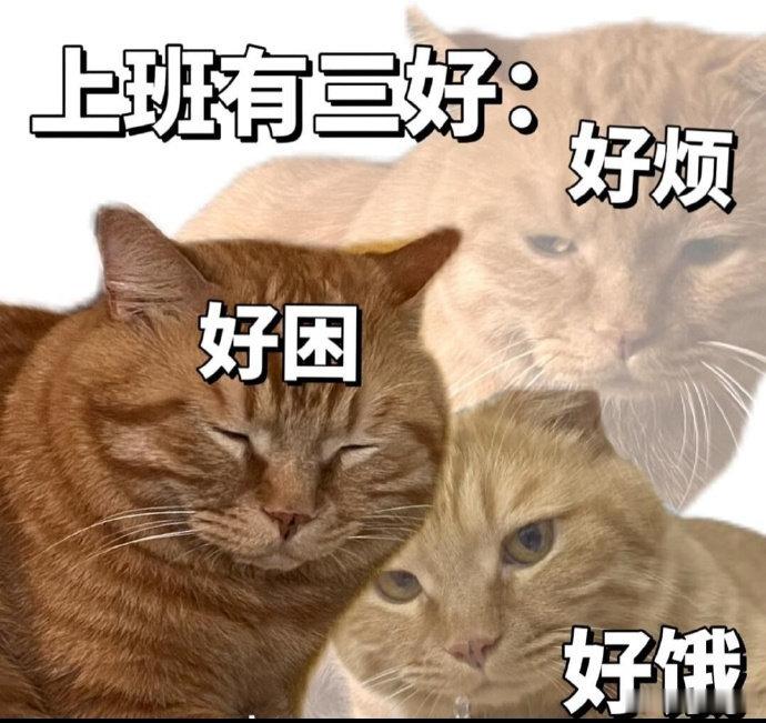 有学生报假警说老师猥亵。因为涉及未成年所以警察要走全流程，家长也不可能撤案。半夜校长和老师一起去看监