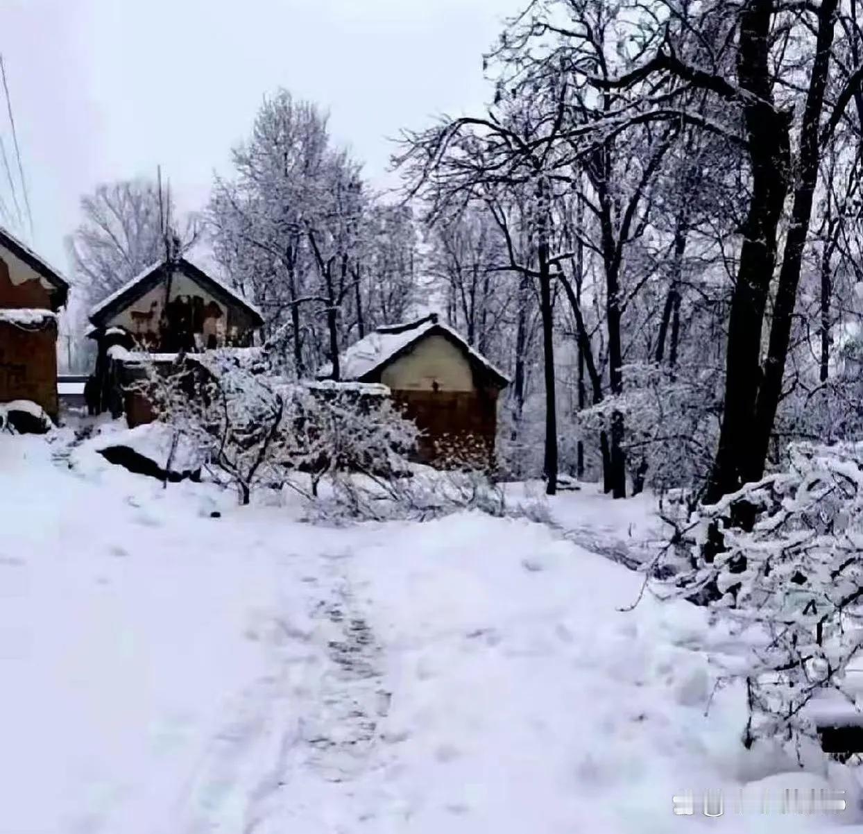 我刚才看到一件事，差点从椅子上跳起来。2026年的春节icon，大年初一居然是
