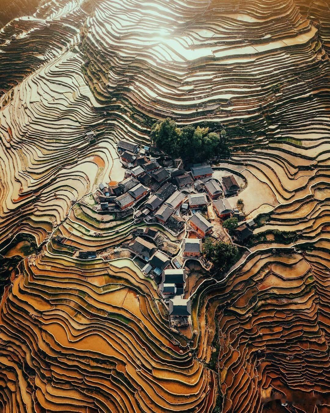 就是这片梯田！层层叠叠顺着山弯绕，像大地印上的指纹，又像上天泼翻的调色盘，