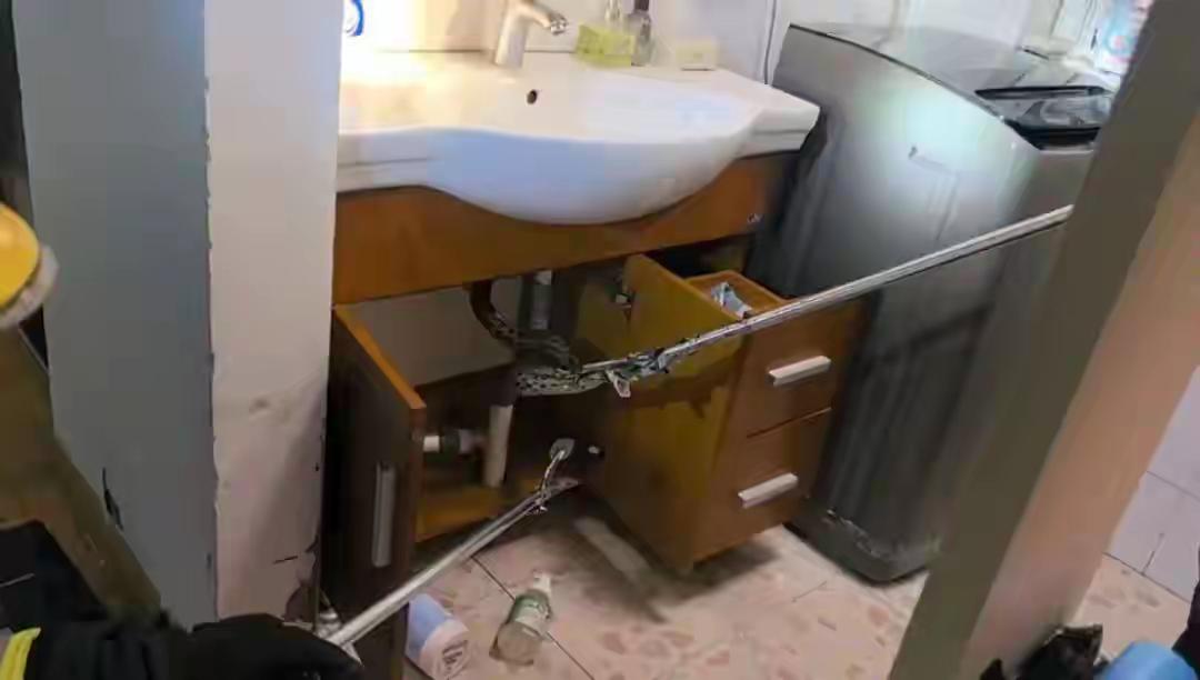 宁波市鄞州区百丈花园的居民家中爬进大蛇，接警后消防救援支队迅速赶往现场，经过几小