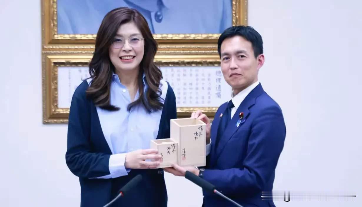 郑丽文会见日本反华议员，大谈两党情谊深厚，我现在严重怀疑，郑丽文是民进党埋进国民