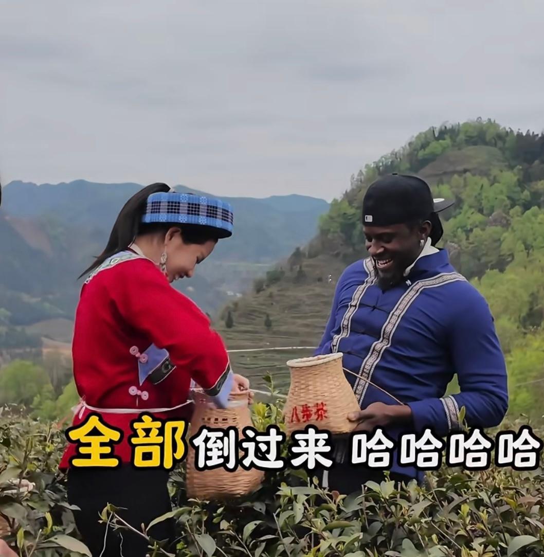 当地文旅咋想的，请个外国人来宣传本地茶叶！