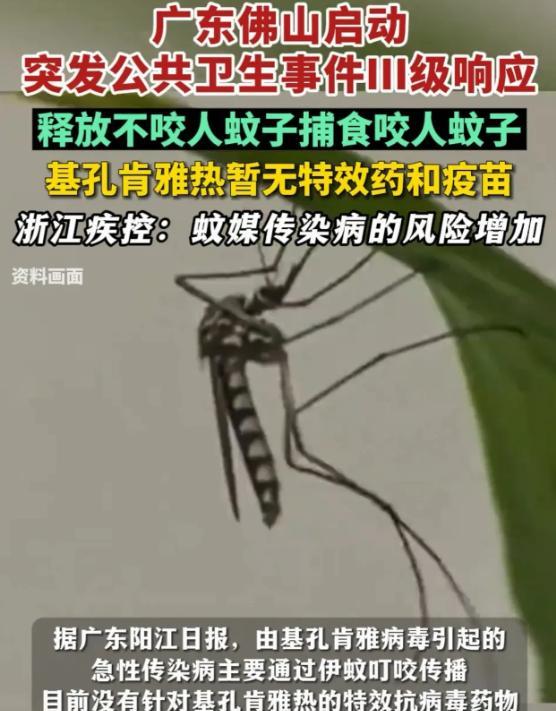 解释不清了！广东，为了应对基孔肯雅热，7月30日中山大学的副教授带着学生团队，跑