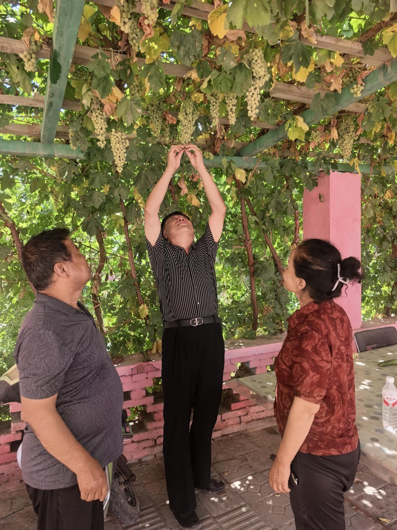 傈僳族，是怎么来的傈僳族主要分布在云南怒江、丽江以及四川西南部，是西南古老