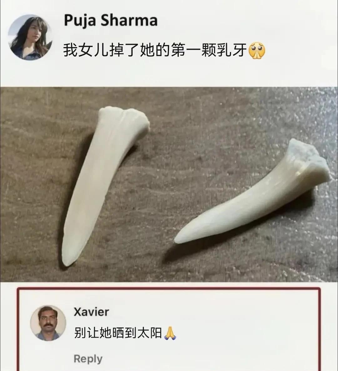 人类迷惑发言行为大赏搞笑图迷惑行为大赏搞笑图文人类迷惑发言人类的迷惑