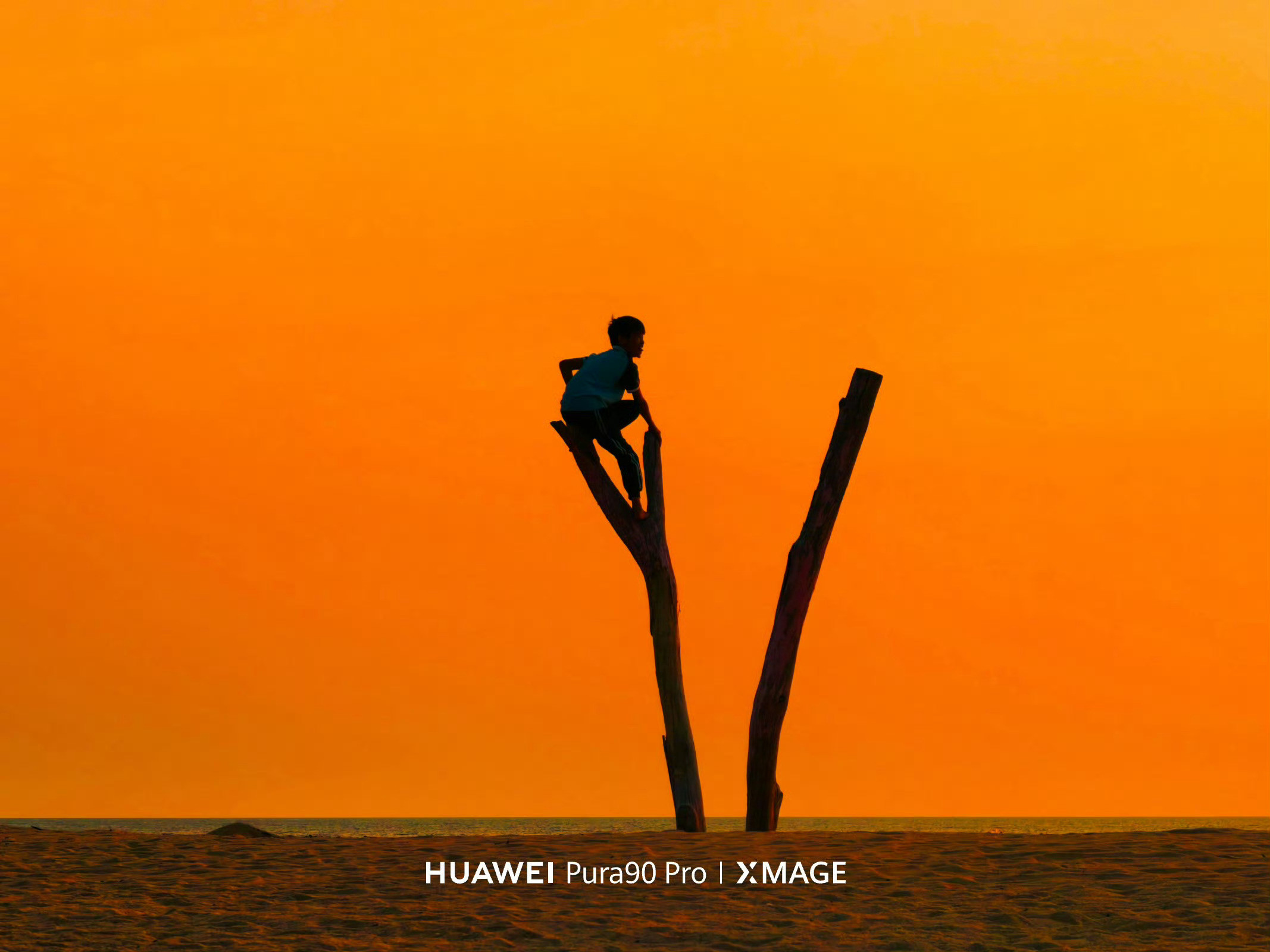 卧槽！华为Pura90系列拍照这么强吗？看来逆光和长焦表现，还是相当稳的