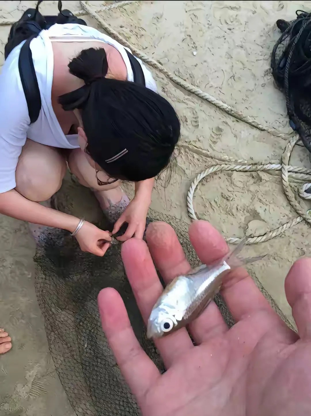 海边赶海收获，惊喜连连！🐟🐚🌊