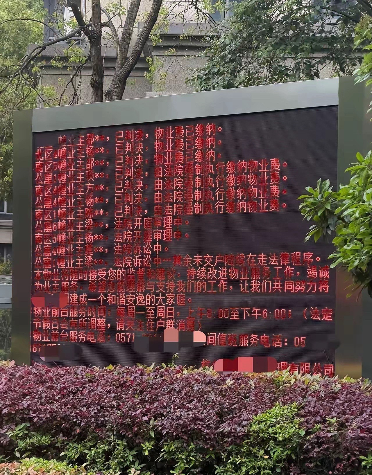 这个也能公示