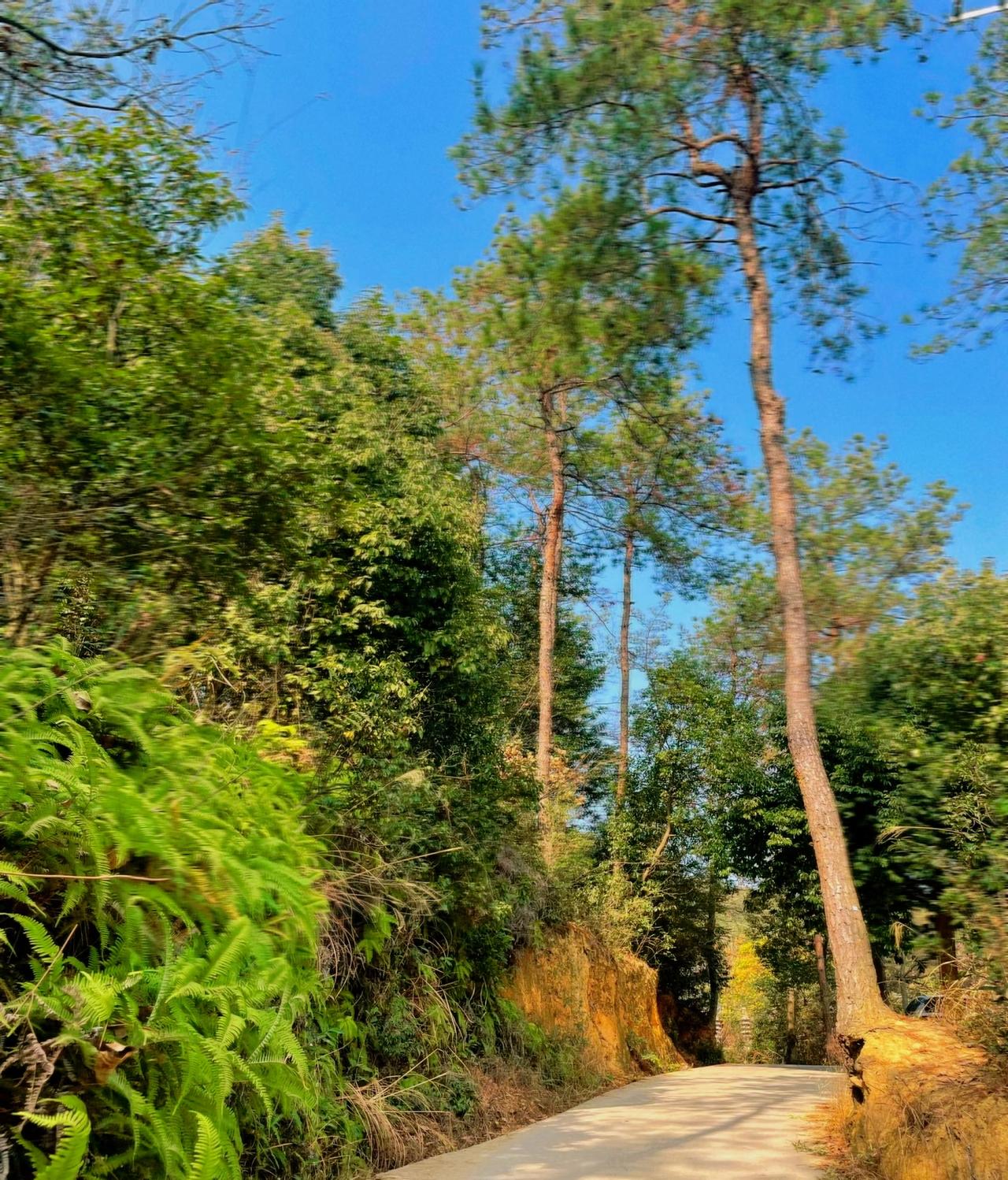 ：）“夫妻能不离就不离。男人离婚你没钱，后面基本上是孤独终老。女人离婚，没钱的