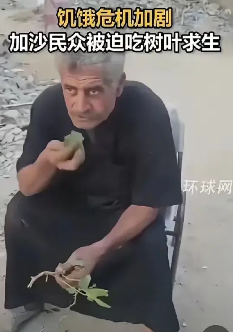简直笑死人了！据某球网报道，加沙老百姓都吃树叶充饥了。看这新闻，直接把我逗笑了