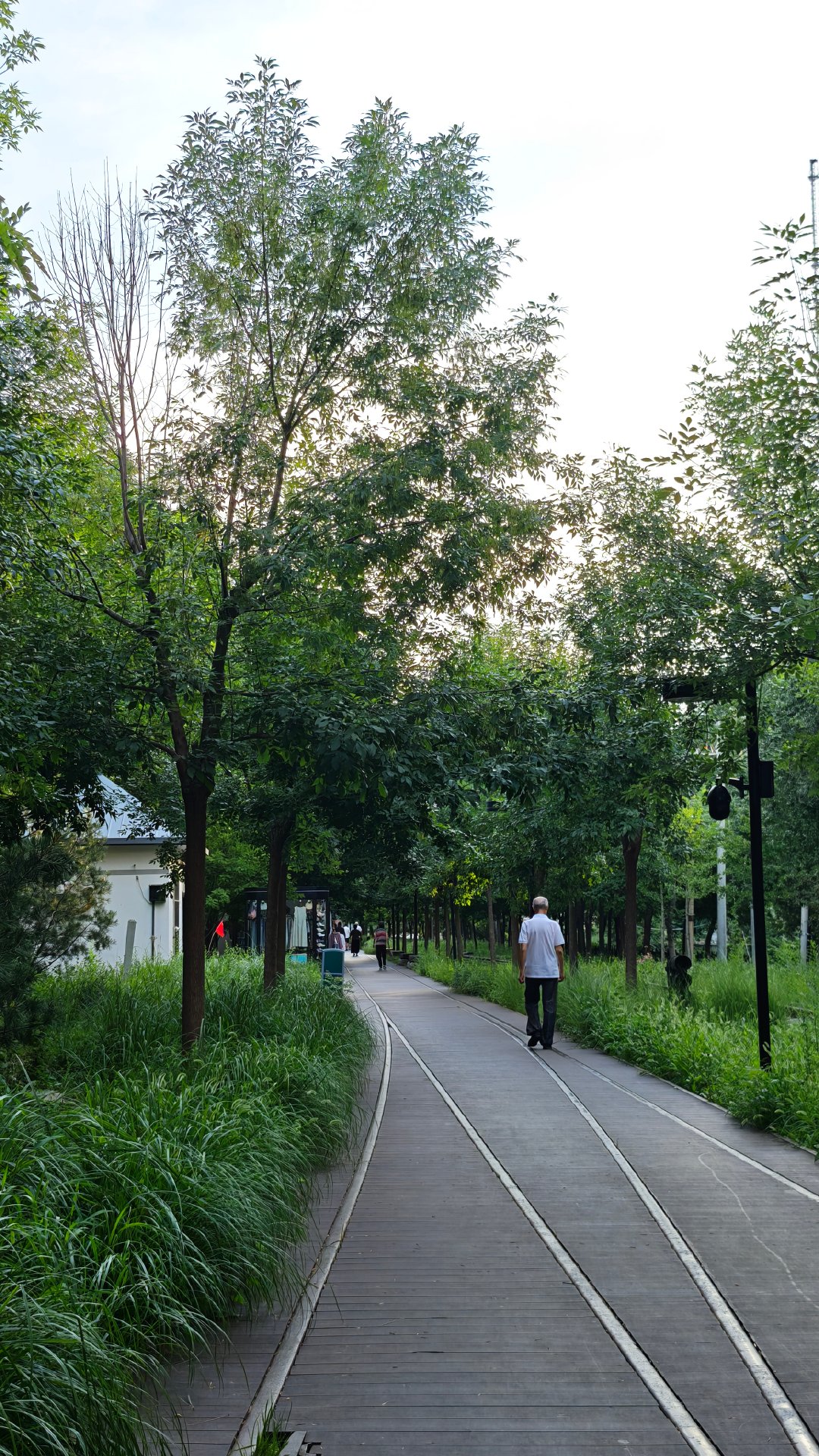 说真的，天津这城市，随便一个公园都能挖出半部近代史！河西绿道公园脚下那铁轨，不是