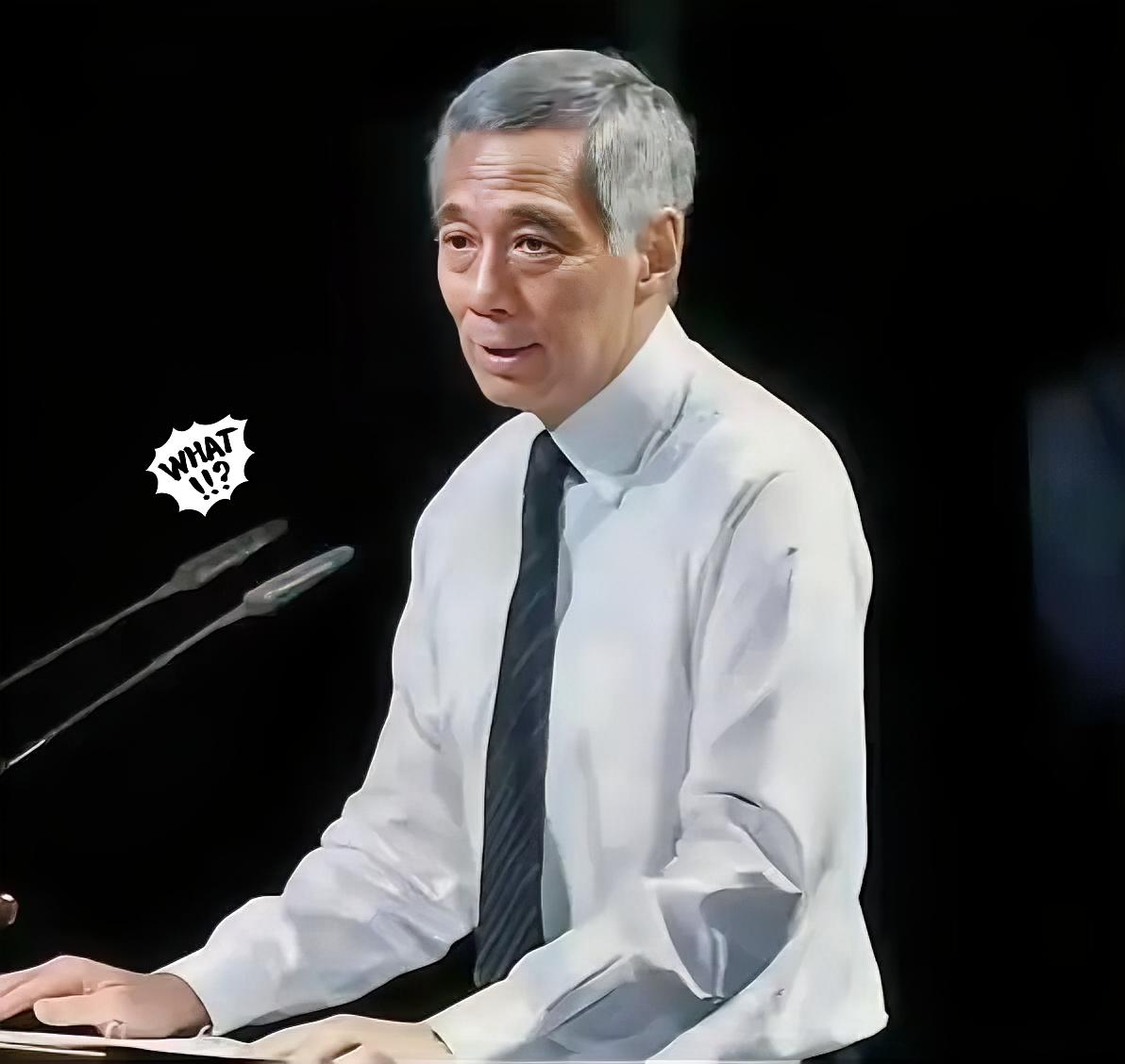 新加坡港有八成货运靠中转，但现在中国洋浦港抢生意了。洋浦港有政策扶持，运费只要3