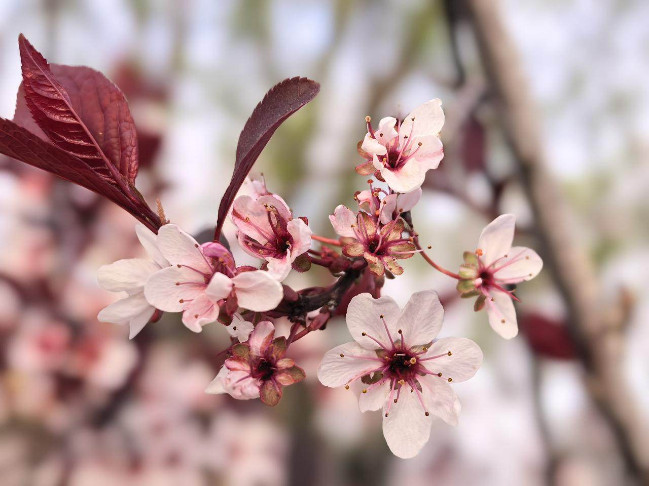 朋友向我吐槽，说他真想和张先生大吵一架。朋友是国企里的中层管理人员，最近刚调