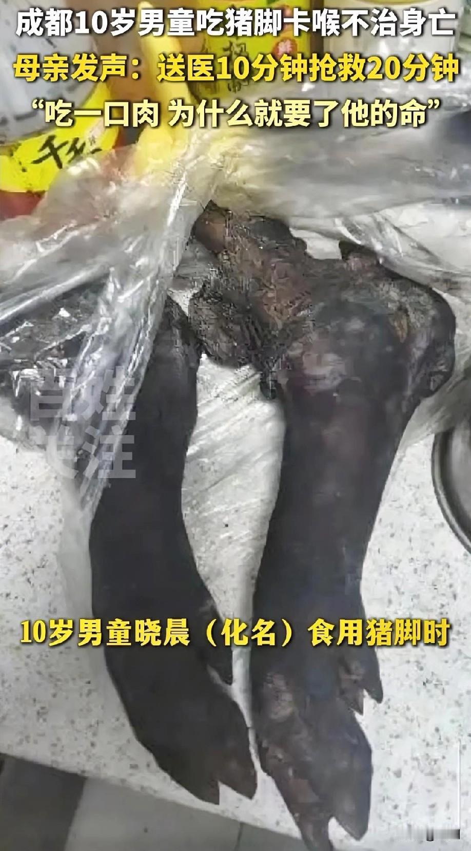 成都10岁男孩吃猪脚卡住身亡！妈妈“吃一口肉，怎么会要了他的命”2月14号，