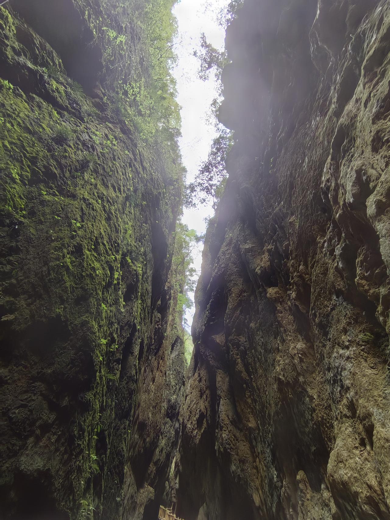 图中的景区是云南会泽“雨碌大地缝”。到了才让人失望了，失望的是它不是地上地震形成