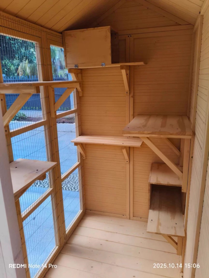 今天终于定制了这款猫咪户外小木屋，我说有6只需要住的猫咪，客服让我多加了100元