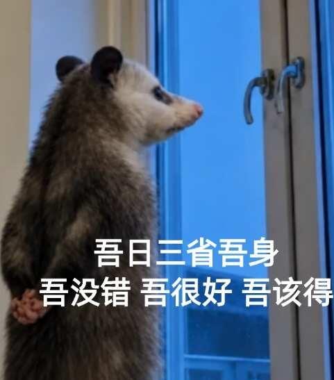 依旧不吃压力版负鼠负鼠表情包梗图精神状态打工人上班不吃压力搞笑