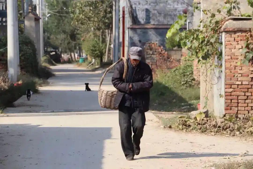 我家养了一头驴，说实话，他比一个人强多了，他还能天天干活，有的人，在儿女家里，白