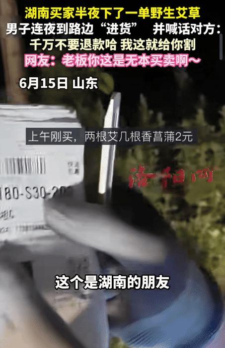 “笑不活了！”6月16日，山东，男子接到湖南买家半夜下的一单野生艾草。没想到，他