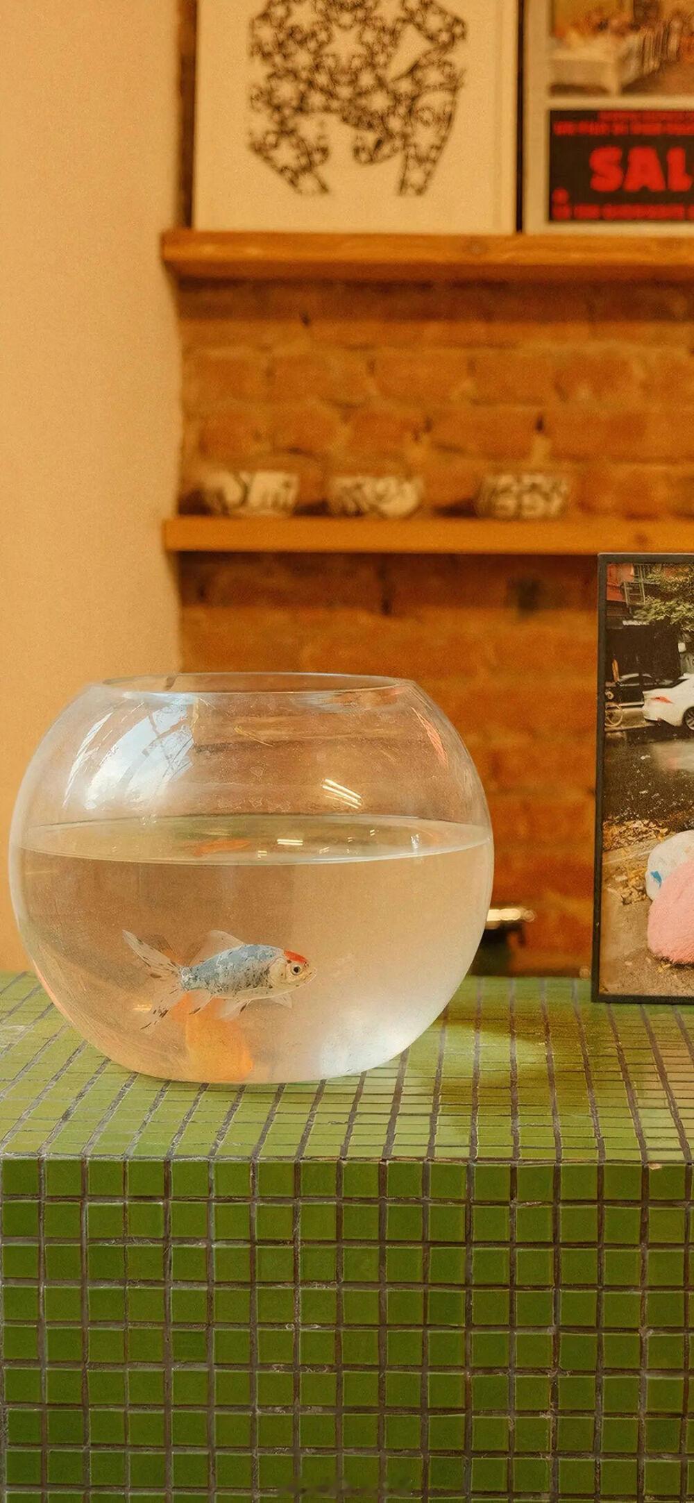 可其实很多情深是戒不掉的，每当你想要戒掉，总有回忆跑出来搅乱心神。——《长街》晚