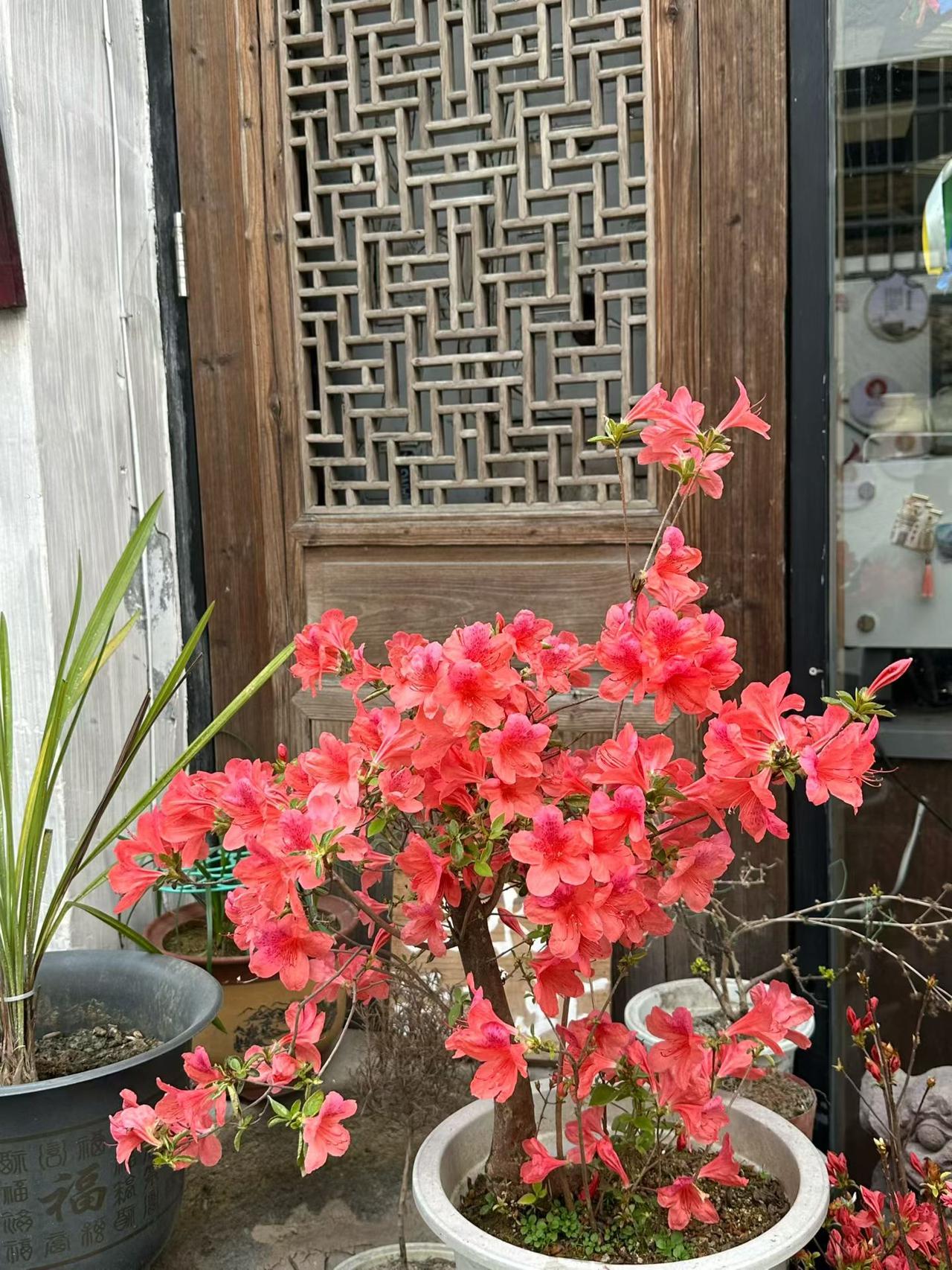 守一份静谧，许一份闲心，泊于小桥流水人家，邂逅一段老时光。