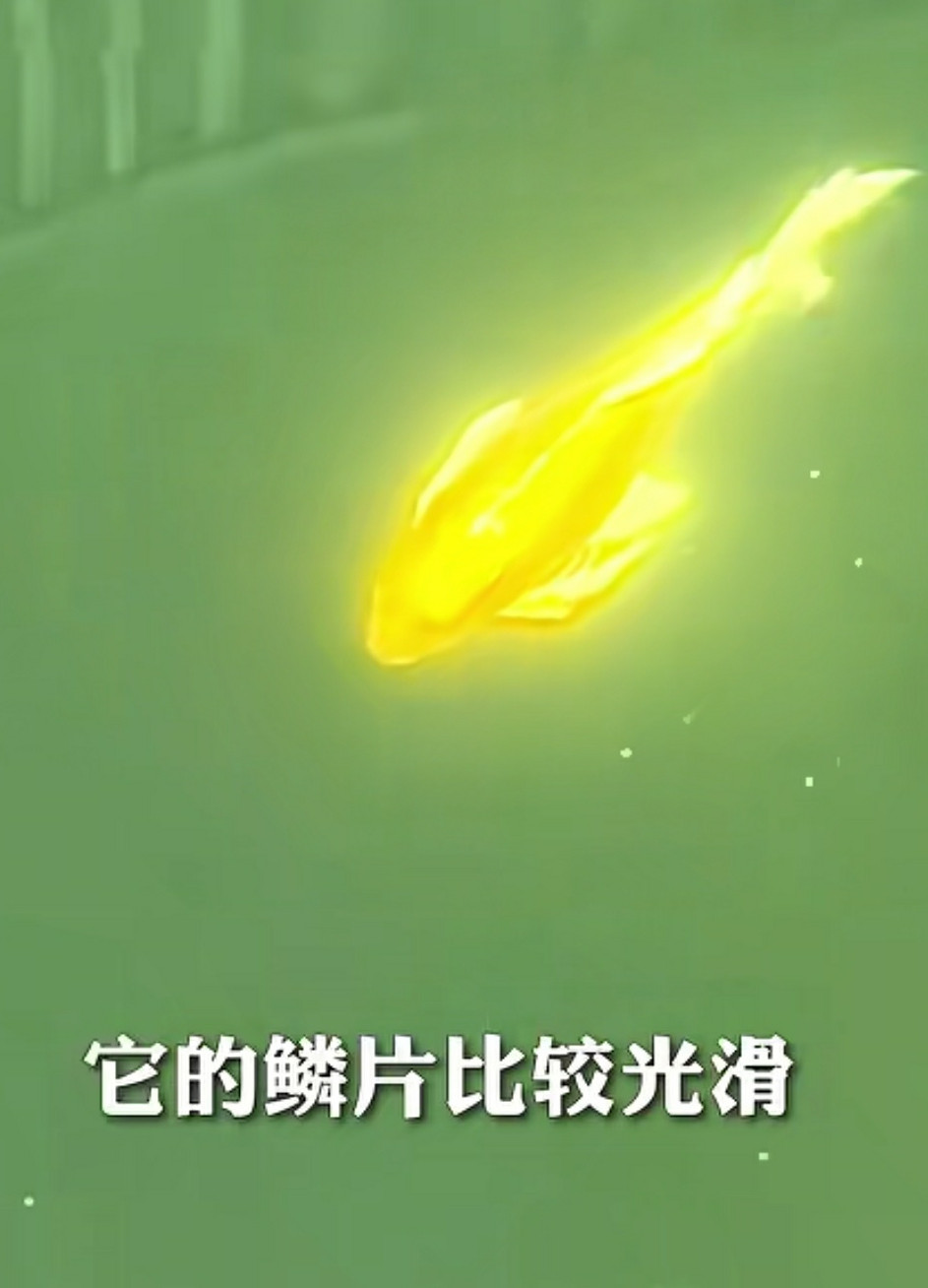 这是什么鱼，会发光。