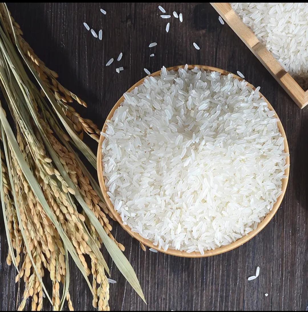 日本的大米涨到21.8元人民币一斤，日本可怜的一些家庭大米都吃不起了，开始改吃面