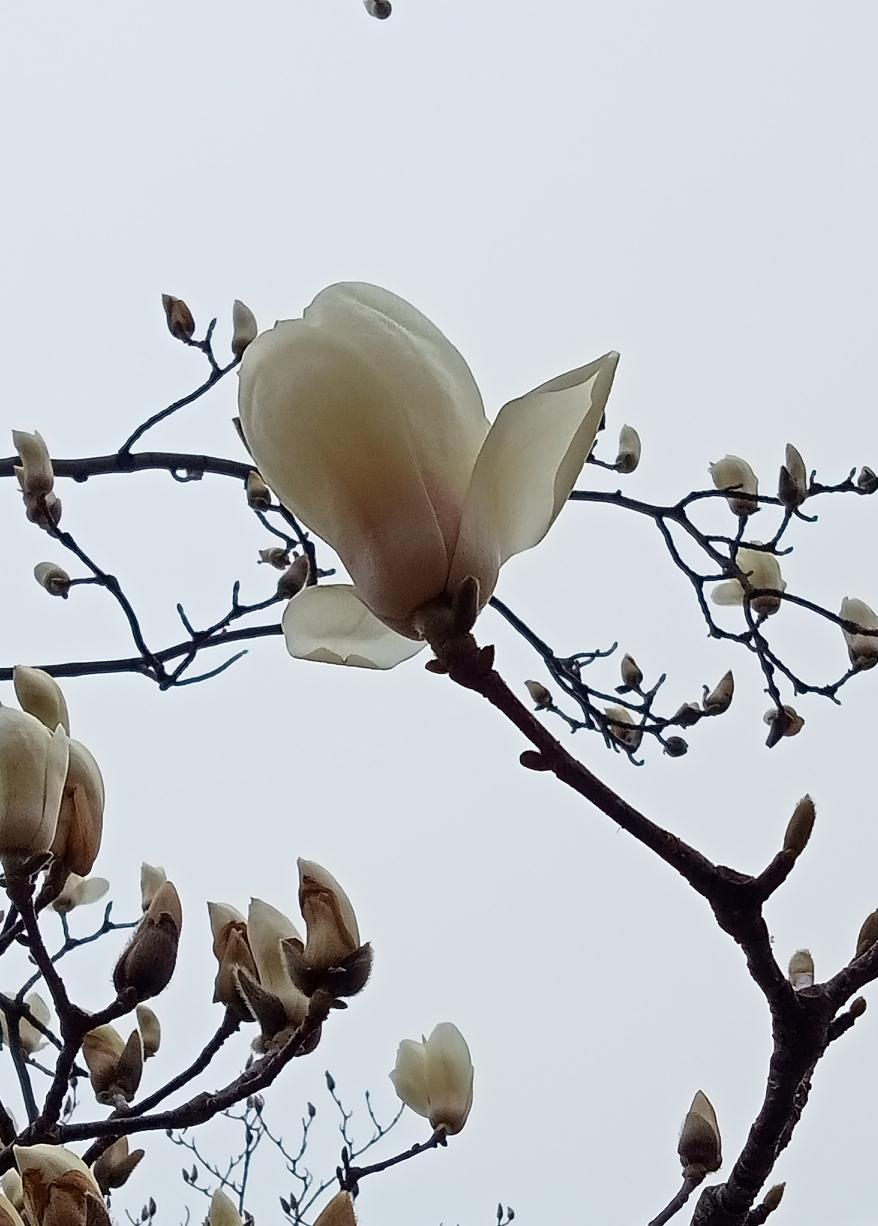 养老金涨不涨这事儿，网上说法那是五花八门，一个个都跟专家似的，说得头头是道。可到