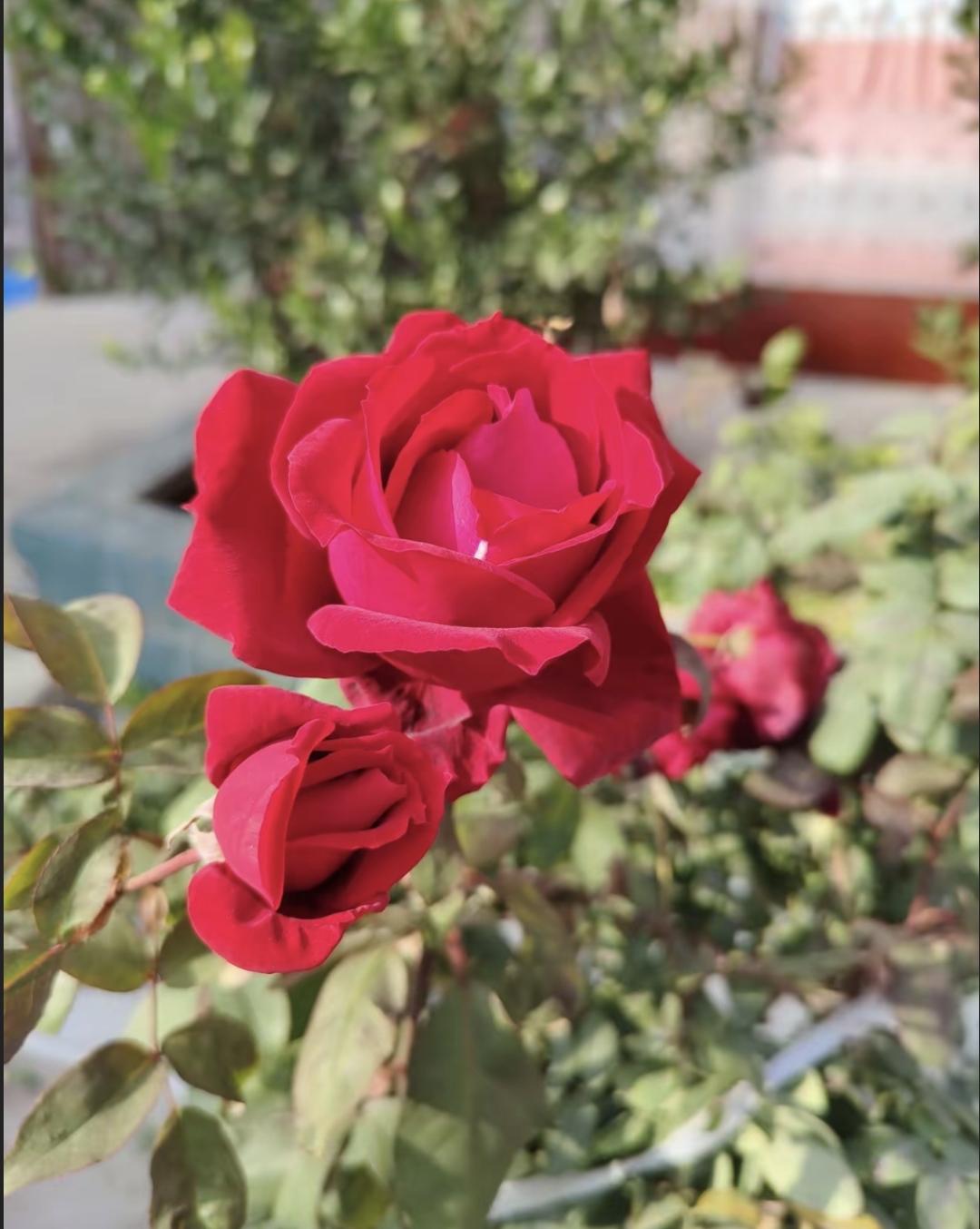 表姐家儿子上个月结婚了，两口子没工作天天睡到中午才起来。成天窝沙发玩手机，外卖点