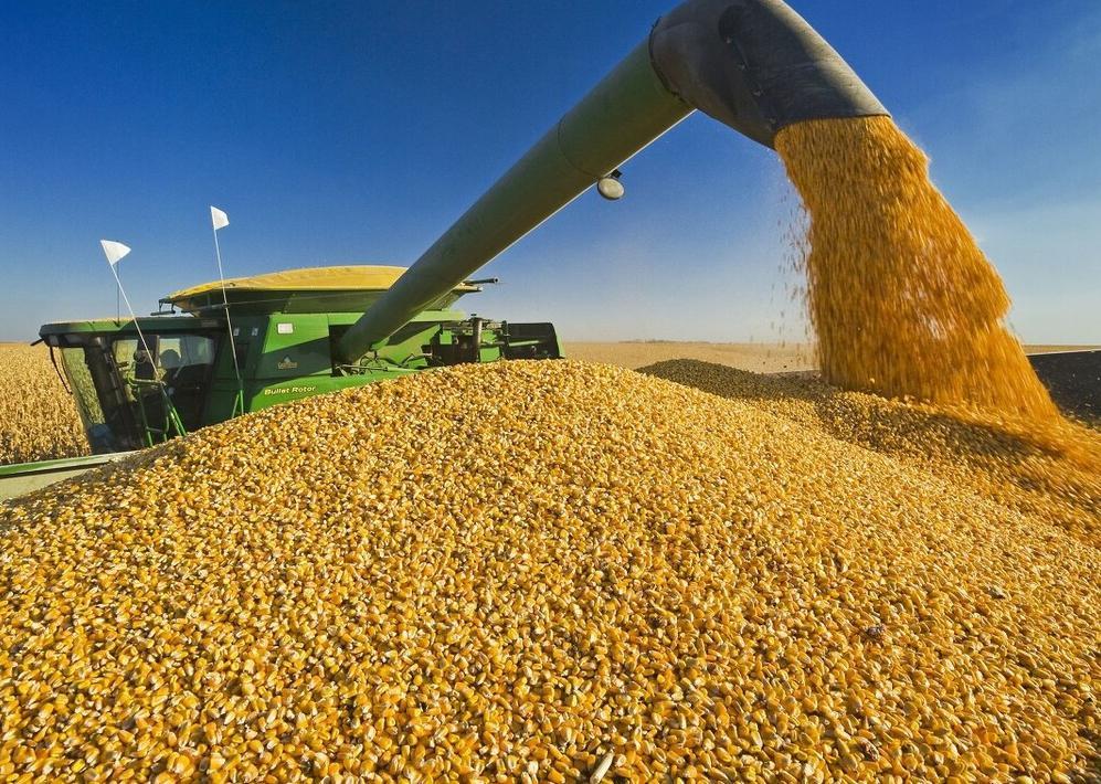 如果全球都停止出口粮食，中国能否自给自足？ 这个问题看似危言耸听，却总能引发