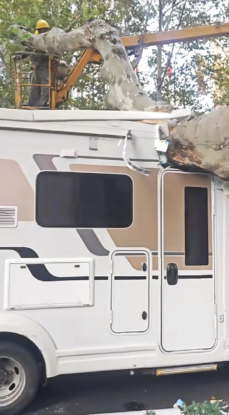 给所有自驾去南京的朋友提个醒因为今天就有一辆自驾房车与南京路边的梧桐树发生了接