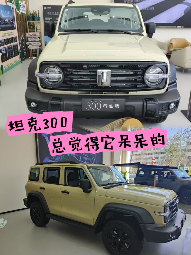 25款坦克300其实外观可以在彪悍一点【外观感受】2025款坦克300，依