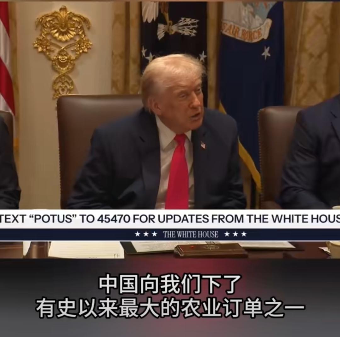 中国大豆订单，巴西、美国不能兼顾，单子下给巴西就没美国的事，单子下给美国也就没巴