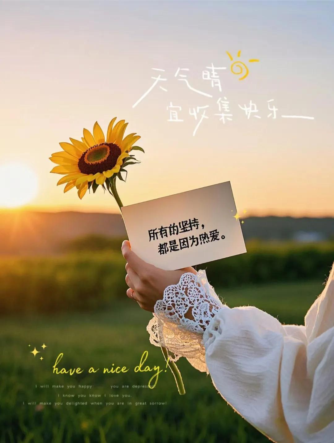 ²⁰²⁵/₀₅.₀₈🔅🌄傍晚的风能够吹散焦虑，只留下月亮的温柔和