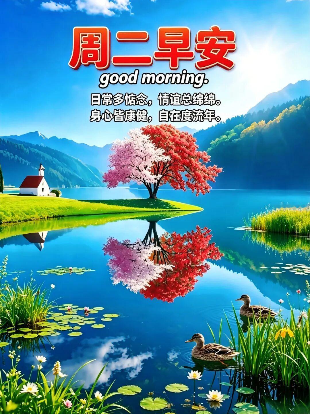 ☀️收集所有美好，打包满心祝福✧🏠✧一屋烟火，两人安康，三餐有味，四季相伴✧?