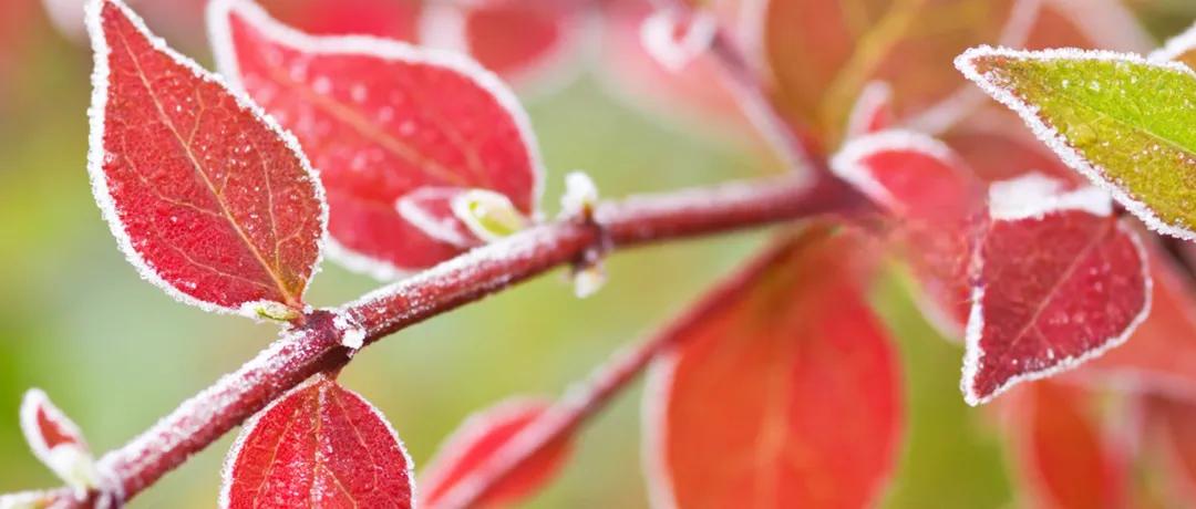 为什么在家待不住的女人容易离婚。今天我一朋友说，老公要和她离婚，她不想离，问怎么