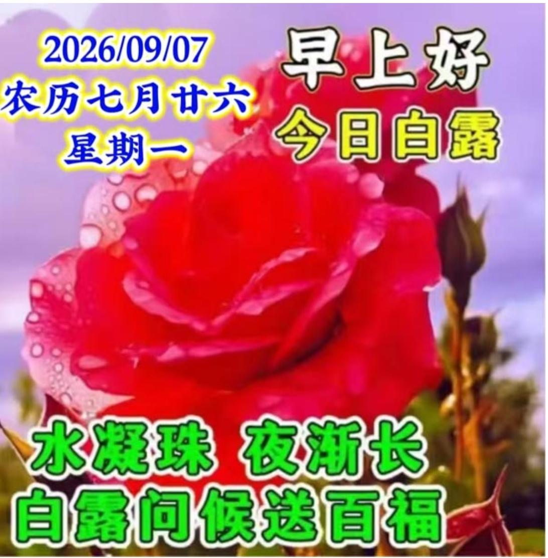 又是一年白露到，短信问候送给你；片片心意暖你心，无论你身在何方；一定照顾