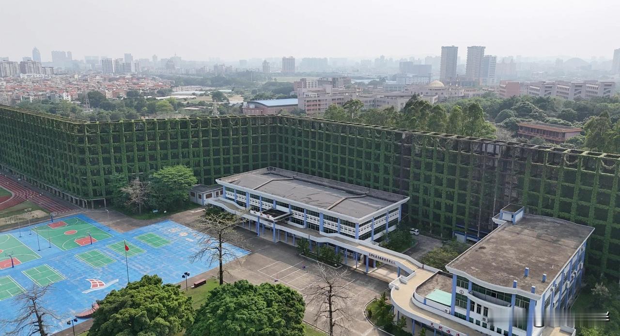天下之大，无奇不有。开车经过广州市番禺区的旧水坑小学，看见了一个巨大的绿色高墙。