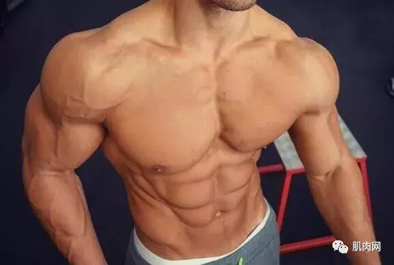 如何练出肌肉线条? 导致肌肉线条不明显的两大原因!