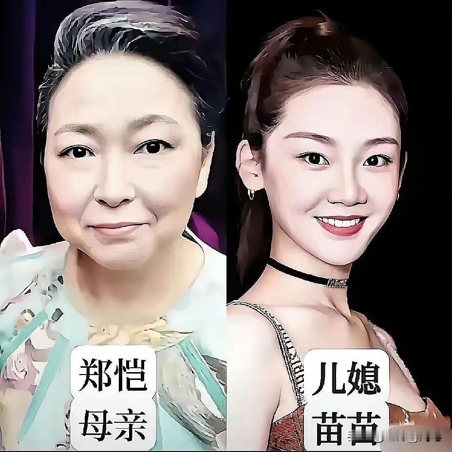 都说婆媳关系是千古难题，普通人家如此，明星家庭也不例外。苗苗嫁给郑恺后，直接